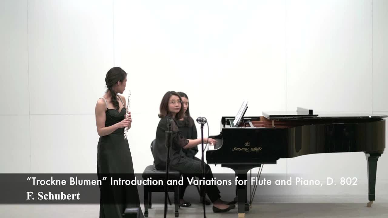 陳亭蓁長笛演奏會 (含輔助資料 演奏會錄音、樂曲解說及室內樂演奏會錄音)-M1228_3