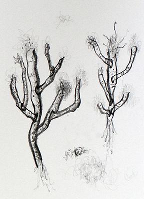 Plants Healing—A Discourse on Ying-Syuan Huang's Artworks's Cover