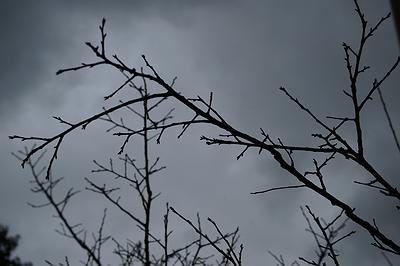 在回家的路上-平面作品-8