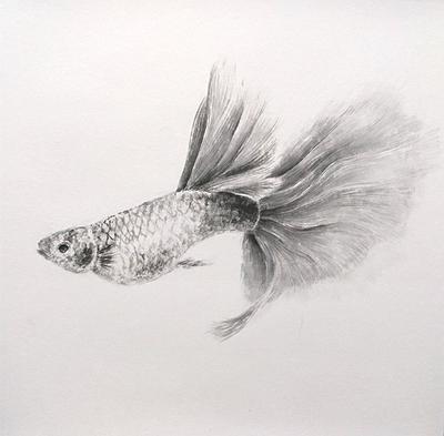 Carefree・Inspiring-The Thesis of Chinese Ink and Color Painting's Cover