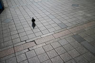 《旅程》：No.0947_韓國首爾