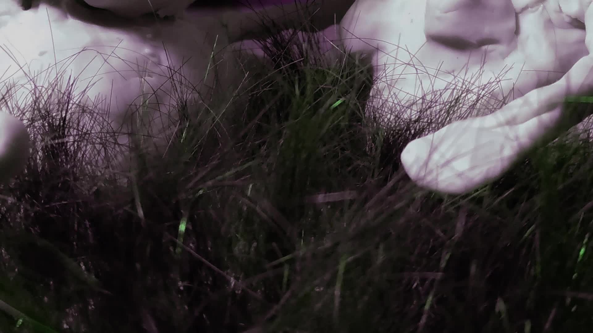 類ＫＴＶ動畫《百年好合》：戀人的荒謬性1的封面圖