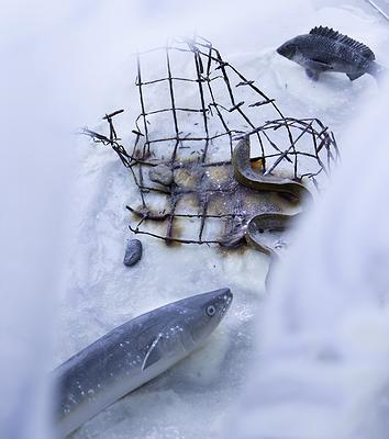 〈流變空間〉，2022，左：樹酯、漁網、繪製後的模型魚、海邊廢棄生鏽鐵絲網、石頭、痱子粉、Antari ICE-101。右：繪製後的模型螃蟹、海參、漂流木、海邊吸管。依場域而定，作品局部-1