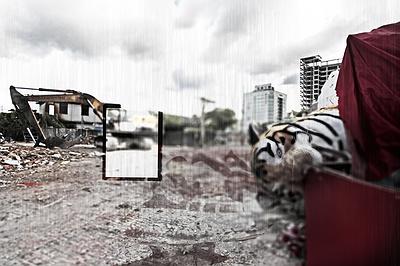 Scenery fade away-1's Cover