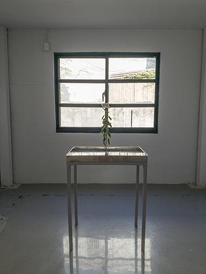 多線創作的首拍：陳昱廷創作研究 32 陳昱廷，〈沒有著落〉，白菊花、劍山、鐵釘、鐵盤、水，73x46x80公分(不含白菊花)，2019。2