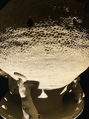 Eating Architecture's Cover