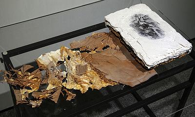 記憶的形狀---林文萱陶藝創作論述-The book's skin