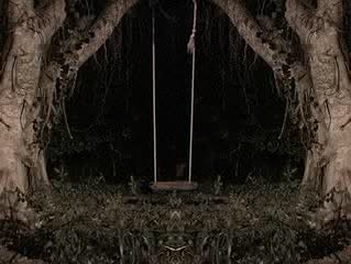 Shotgunblue -- The aesthetic experience through touching's Cover