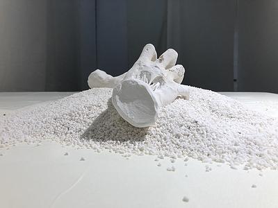 1貪-6