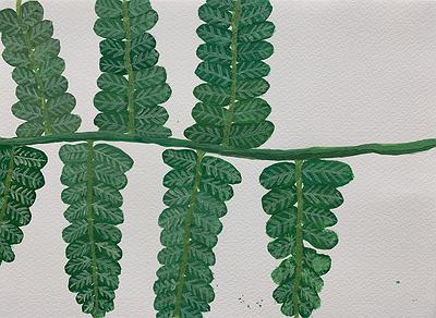 Plants Healing—A Discourse on Ying-Syuan Huang's Artworks's Cover