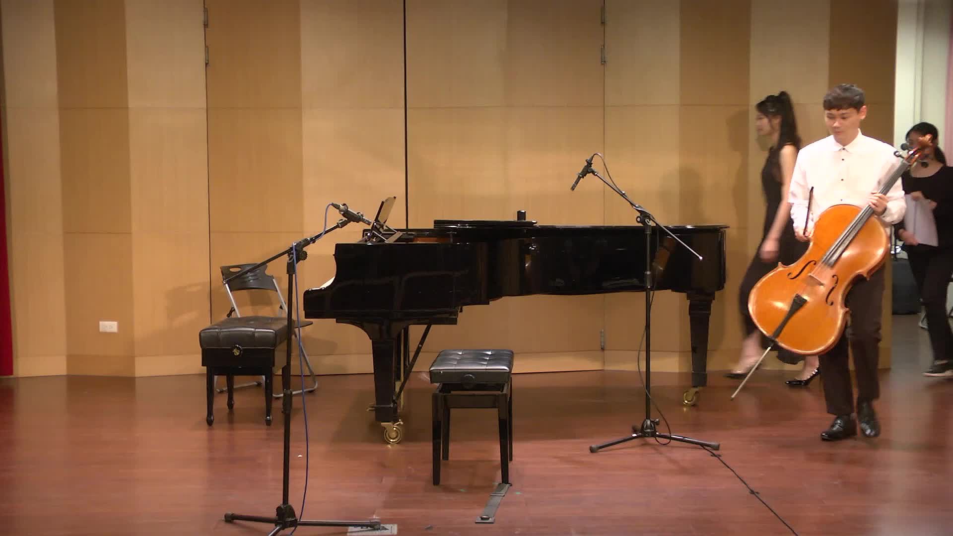 The Analysis and Interpretation of Cello Sonata No.1 in E minor, Op. 38, by Johannes Brahms's Cover