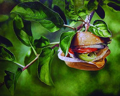 誕生系列-開花結果