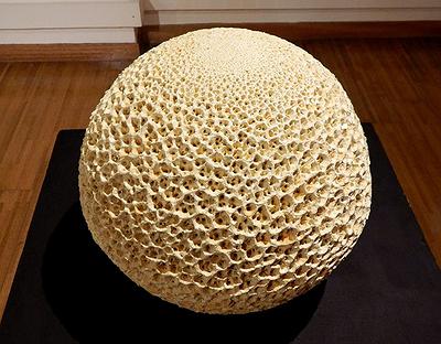 與植物對話 — 魏金蕊陶藝創作論述-《基因轉殖》展出效果。