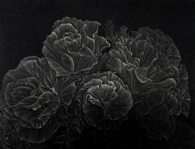 墨蘊花喻—4〈語之四〉的封面圖