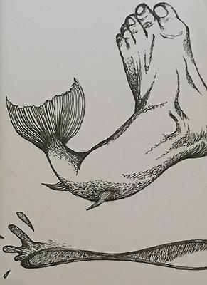 圖載場—白虛與夜實的生物世界-28