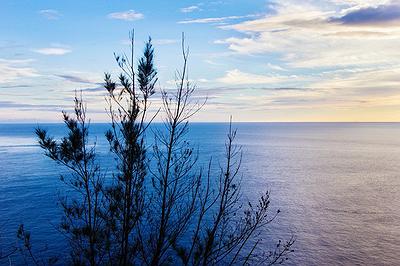 Lanyu of Seeing-43's Cover