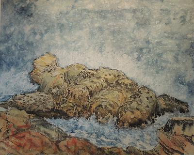 臺灣海濤與海石之美–驕傲的鴨子