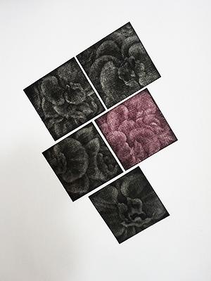 墨蘊花喻—24〈簇之二—Phalaenopsis〉的封面圖