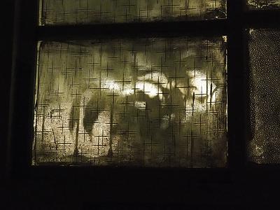 多線創作的首拍：陳昱廷創作研究 36 陳昱廷，〈庭〉，植物、人造植物、燈、光影、木材，依場域而定，2018。3