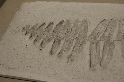 多線創作的首拍：陳昱廷創作研究 22陳昱廷，〈成為化石〉，水泥，圓形四個(直徑分別為11公分、10.9公分、11.3公分、10.9公分)、長方形兩個(12.2x23.7公分、21.5x22公分)，2021。6