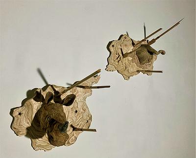 Evocation of Forms and Functionality: Awakening of Everyday Trajectories's Cover