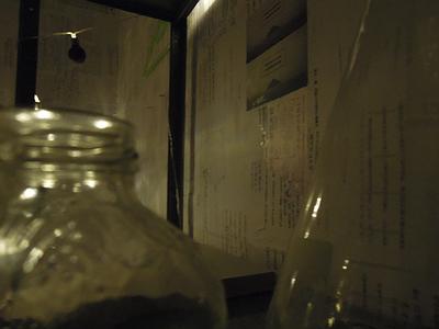 逐往潮騷-27的封面圖