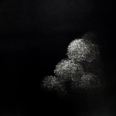 墨蘊花喻—6〈語—Hydrangea 之二〉的封面圖