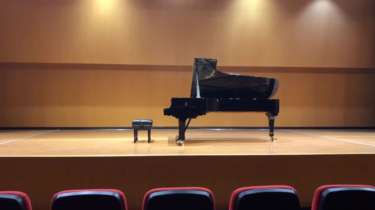 The Analysis of Ting-Xuan Li Piano Recital's Cover
