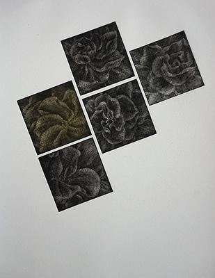 墨蘊花喻—22〈簇之二—Gardenia〉的封面圖