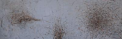 Perception and Inception of Body - The Creation Research of Liu, Hsin -Yi's Cover