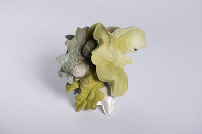 潛存的膨脹語彙—葉方瑾當代首飾創作論述-2