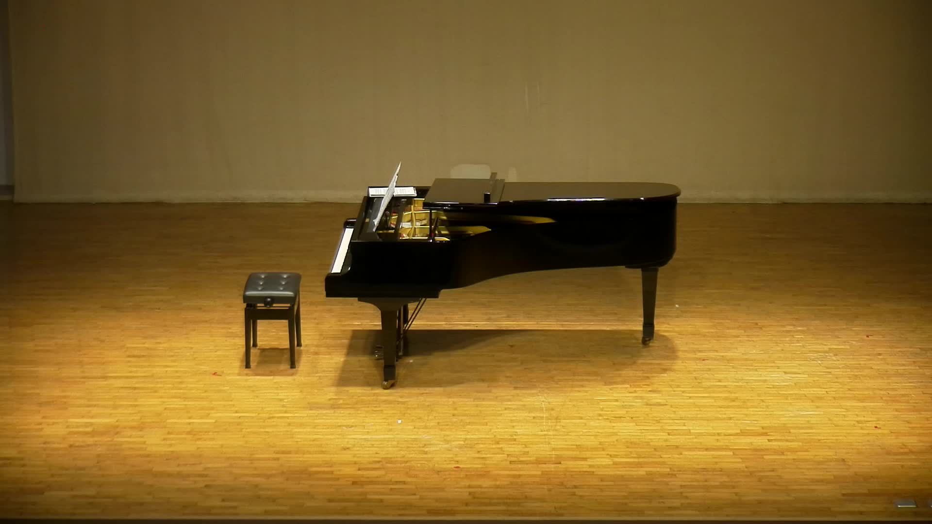 維多《給長笛與鋼琴的組曲，作品三十四》之分析與詮釋的封面圖