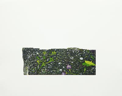 雜花集作品-1