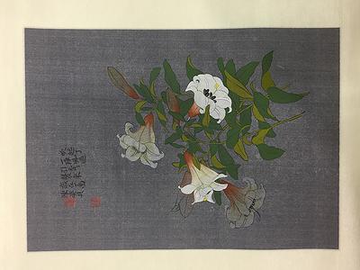 6.香香