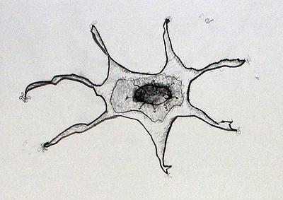Plants Healing—A Discourse on Ying-Syuan Huang's Artworks's Cover