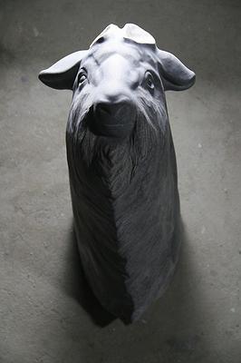 黑鹿5