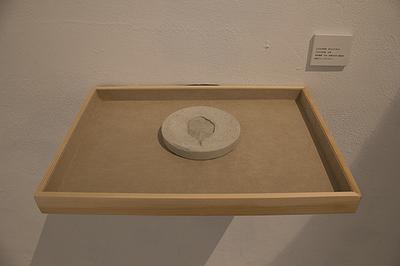 多線創作的首拍：陳昱廷創作研究 19陳昱廷，〈成為化石〉，水泥，圓形四個(直徑分別為11公分、10.9公分、11.3公分、10.9公分)、長方形兩個(12.2x23.7公分、21.5x22公分)，2021。3