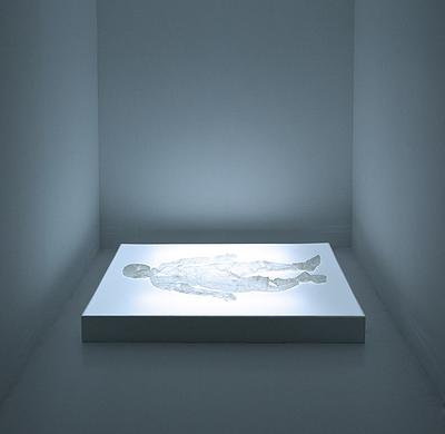 〈皮囊 Ⅰ〉，2015， 樹酯，90 ×180 cm，依場域而定的封面圖