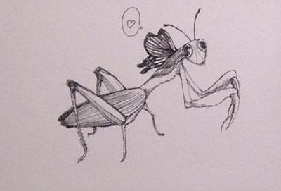 圖載場—白虛與夜實的生物世界-30