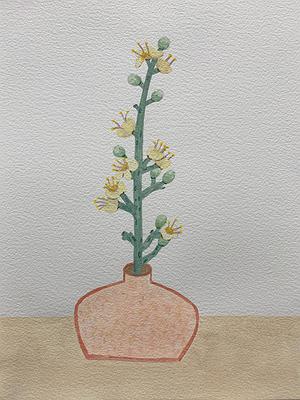 Plants Healing—A Discourse on Ying-Syuan Huang's Artworks's Cover