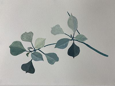 Plants Healing—A Discourse on Ying-Syuan Huang's Artworks's Cover