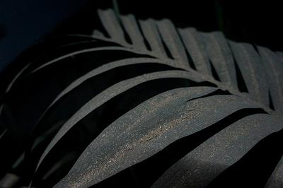 時間拋棄之物-02