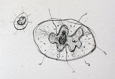 Plants Healing—A Discourse on Ying-Syuan Huang's Artworks's Cover