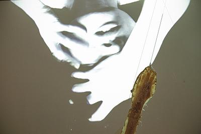 異類之於同體_3