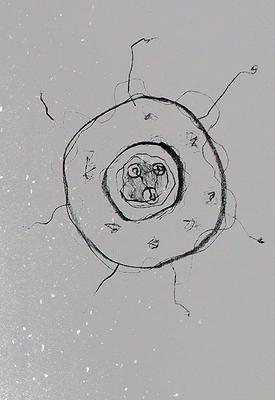 Plants Healing—A Discourse on Ying-Syuan Huang's Artworks's Cover