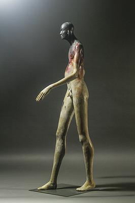 人體18