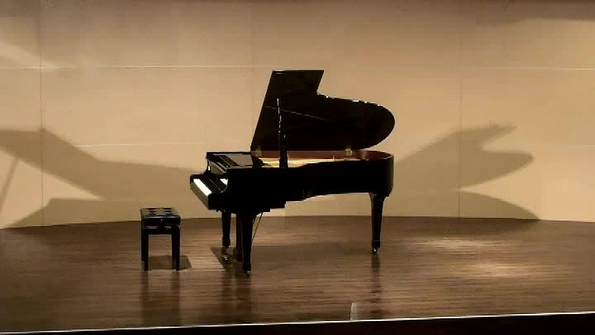 Wang, Ya-I Piano Recital Program  Introduction, Analysis and Interpretation's Cover