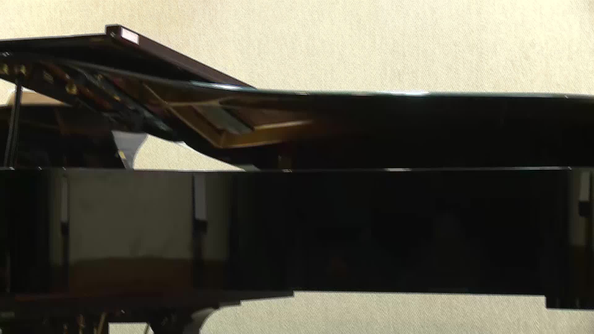 20190605王品婷畢業音樂會