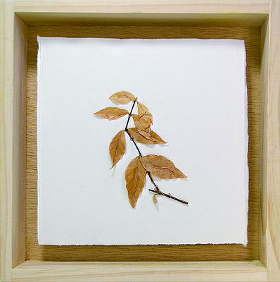 多線創作的首拍：陳昱廷創作研究 陳昱廷，〈P.S. (_____)〉，銅箔、銅線、葉子、水彩紙、木頭，各18x18cm(共 45 個)、各 32x19cm(共 2 個)，2016。4的封面圖