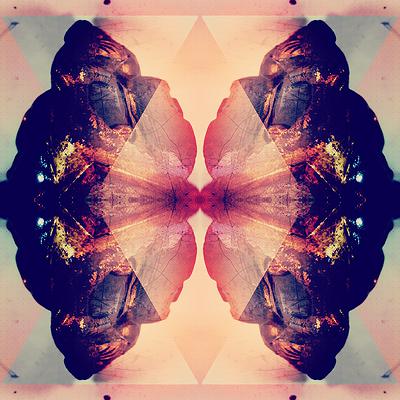 圖載場—白虛與夜實的生物世界-12